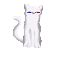 Cat Space Sticker