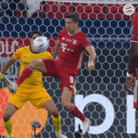 Robert Lewandowski Reaction GIF by FC Bayern Munich