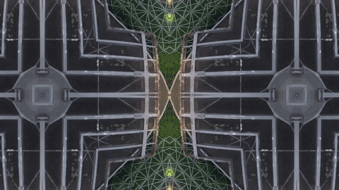 Art Video GIF by jorgemariozuleta