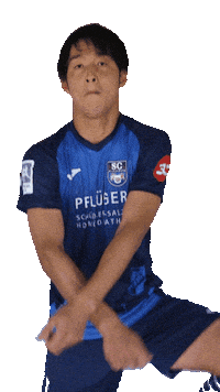 scwiedenbrueck ohno tanz regionalliga taka Sticker