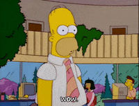 homer simpson wow GIF