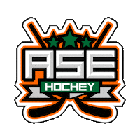 asehockey welivehockey ase hockey asehockey ase hockey shop Sticker