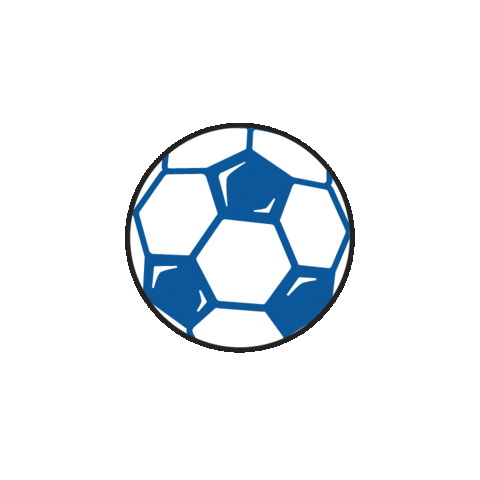 Football Soccer Sticker by Das Örtliche