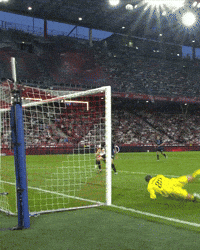 Football Soccer GIF by Club Brugge