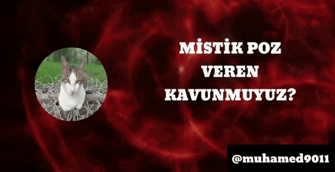 Muhamed9011 GIF