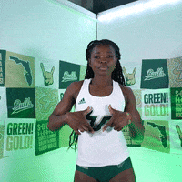 South Florida Horns Up GIF by USF Athletics