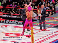 Lucha Libre Win GIF