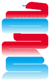 Festival Sticker