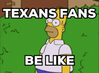 Houston Texans Nfl GIF by Respective