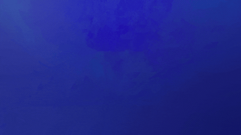 Nope GIF by Jeopardy!