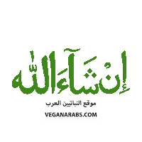 Faith Muslim Sticker by VeganArabs