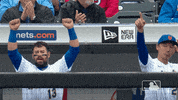 Ny Mets Sport GIF by MLB