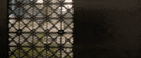 mom + pop music elevator operator GIF by Courtney Barnett