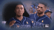 Regular Season Sport GIF by MLB