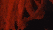 ocean octopus GIF by Science Friday