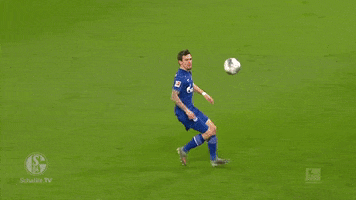 Football Soccer GIF by FC Schalke 04