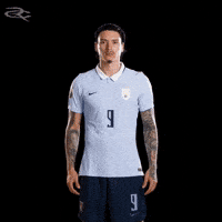 Fifa World Cup Uruguay GIF by Respective