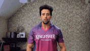 cricket ipl GIF by KingfisherWorld