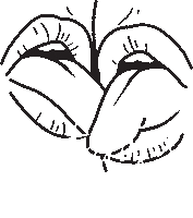 Selflove Sticker by Girls Without Clothes