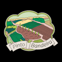 Serra Gaucha GIF by Unimed Nordeste-RS