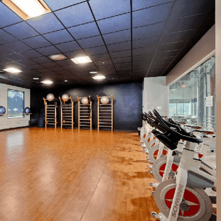 Teqneeq giphygifmaker giphyattribution GIF