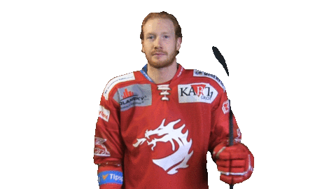 Ice Hockey Sticker by HC Oceláři Třinec