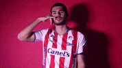 Sanluis Adsl GIF by Atlético de San Luis