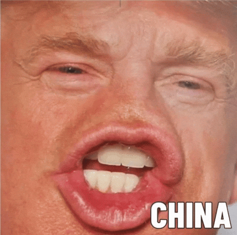 China Trump GIF