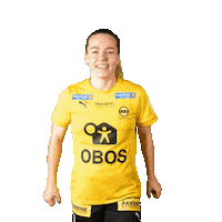 Toppserien Forza Birdsa Sticker by LSK Kvinner FK