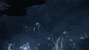 Harry Potter Night GIF by WBGames