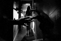 catherine deneuve repulsion GIF by Maudit