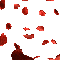 Güller Sticker by Kanal D