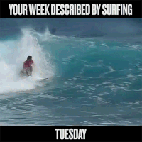 water sports surfing GIF by World Surf League