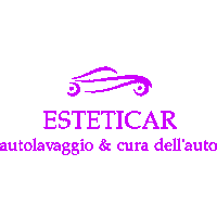 Car Carwash Sticker by Esteticar