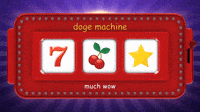 Dogecoin Win!
