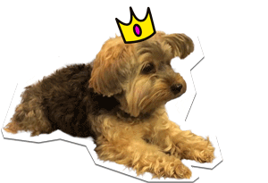 ChicSketch giphyupload girl fashion new post Sticker