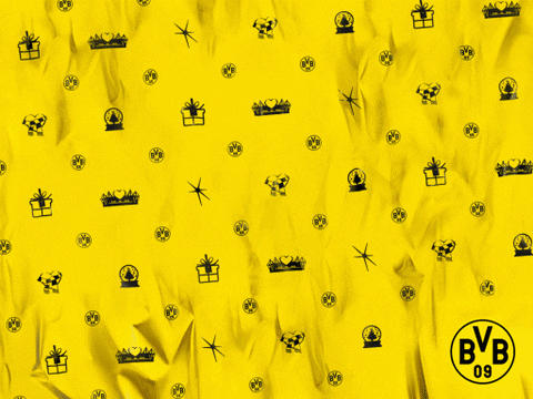 grÃ¼ndervÃ¤ter founding fathers GIF by Borussia Dortmund