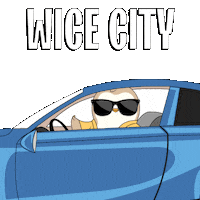 Vice City Deal With It Sticker by Pudgy Penguins