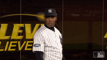 New York Yankees Wow GIF by MLB