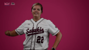 southern illinois mvc GIF by Missouri Valley Conference
