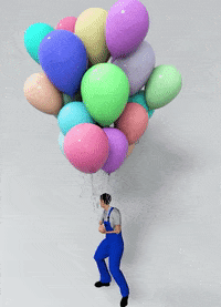 royaebtehaj  GIF