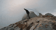 Rocky Mountains Snow GIF by Jan Metternich