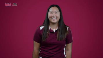 southern illinois mvc GIF by Missouri Valley Conference
