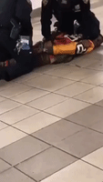Handcuffed Man Kicks New York City Police Officer Onto Subway Tracks During Arrest