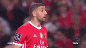 Sl Benfica Slbgif GIF by Sport Lisboa e Benfica