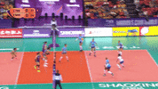 Power Smile GIF by Volleyball World