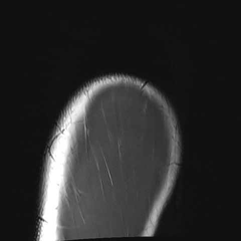 GIF by Jacob Graff