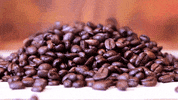 BonCoffee  GIF