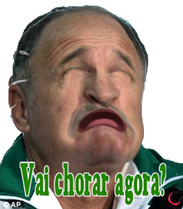 parmera palmeiras nao tem mundial Sticker by André Designer