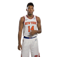 New York Basketball Sticker by New York Knicks